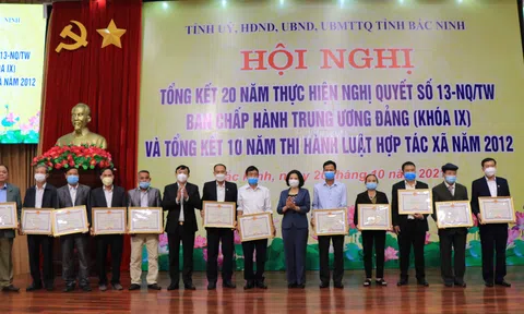 Bắc Ninh ưu tiên xây dựng mô hình hợp tác xã gắn với chuỗi giá trị