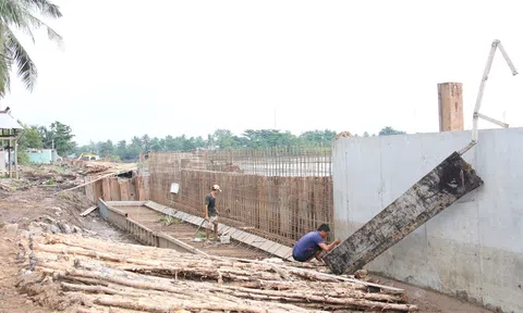 Bến Tre ứng phó với nguy cơ xâm nhập mặn