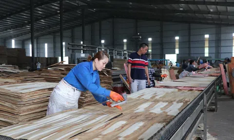 10 tháng, xuất khẩu của Yên Bái tăng gần 41%