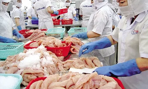 Cơ hội gia tăng xuất khẩu nông, thủy sản sang Liên bang Nga và Liên minh kinh tế Á-Âu