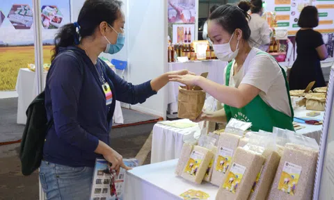 Đà Nẵng phát động chương trình “Tuần lễ khuyến mại kích cầu mua sắm”