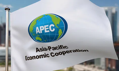 APEC tạo xung lực cho phục hồi hậu COVID-19