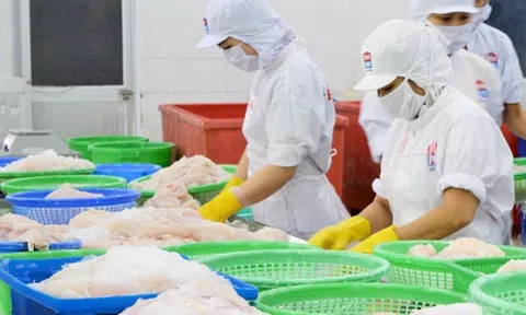 Bến Tre phát triển kinh tế biển theo hướng toàn diện