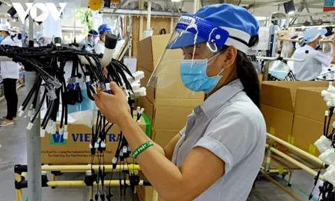 Trà Vinh nhiều chương trình, hoạt động hỗ trợ doanh nghiệp