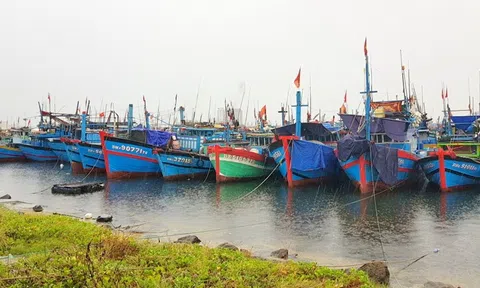 Ninh Thuận khai thác thủy sản thích ứng an toàn với dịch COVID-19