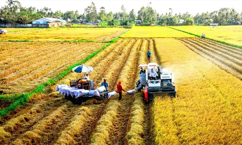 Đồng bộ cơ giới hóa, nâng cao hiệu quả sản xuất nông nghiệp