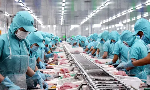 Tháng 10, EU đưa ra 4 cảnh báo đối với sản phẩm xuất khẩu của Việt Nam