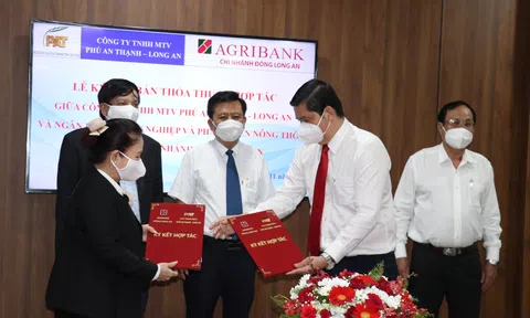 Long An xây dựng dự án dịch vụ kho bãi, lưu giữ hàng hóa