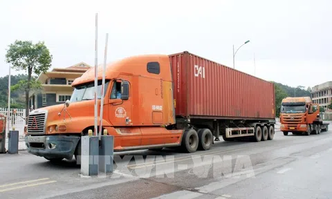 Thí điểm nhập khẩu dược liệu qua cửa khẩu song phương Chi Ma