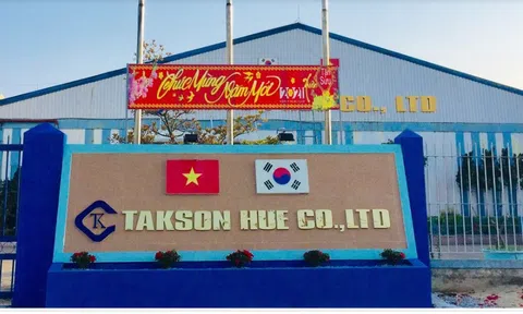 Công ty TNHH MTV Takson Huế bị xử phạt 200 triệu đồng 