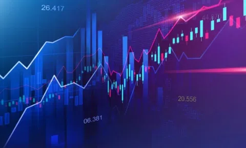 Xử phạt Công ty vật liệu nội thất TP Hồ Chí Minh 85 triệu đồng 