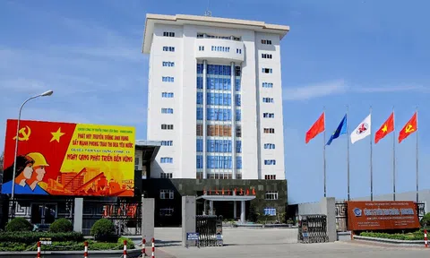 Chơi lớn, một công ty chi gần 5 tỷ đồng mua cá song tặng công nhân dịp Rằm tháng Giêng