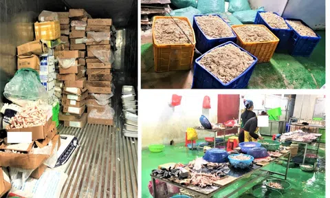 Bắc Giang: Phát hiện hơn 9 tấn chân gà, lòng lợn không rõ nguồn gốc xuất xứ tại huyện Tân Yên