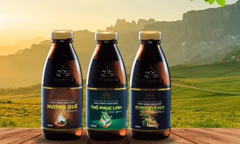 Công ty cổ phần Dược liệu và Thực phẩm Việt Nam bị truy thu thuế hơn 775 triệu đồng