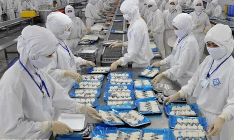 Cổ phiếu Công ty cổ phần Xuất nhập khẩu Thủy sản Sài Gòn bị đưa vào diện hạn chế giao dịch