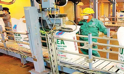 Công ty cổ phần Phân bón và Hóa chất dầu khí Tây Nam Bộ bị phạt gần 760 triệu đồng 