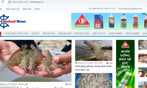 Xử phạt Công ty TNHH Phát triển Khoa học Quốc tế Trường Sinh