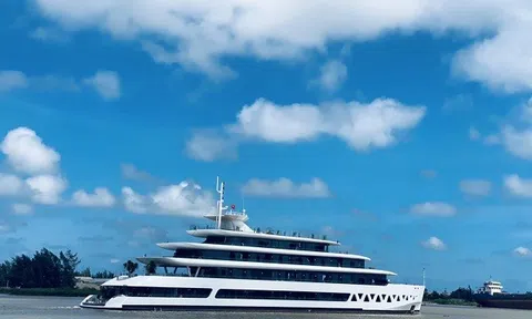 Nhiều thiếu sót về quản lý đất đai tại Dự án nhà máy đóng tàu Thịnh Long