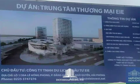 Công ty TNHH Du lịch và Đầu tư EIE bị thu hồi hơn 13,5 nghìn m2 đất để hoang