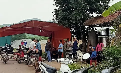 Công ty TNHH chăn nuôi Sơn Động bị xử phạt 500 triệu đồng