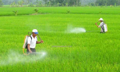 Kiểm tra đột xuất phát hiện gần 1.000 chai thuốc bảo vệ thực vật không rõ nguồn gốc xuất xứ