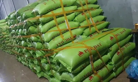 Phát hiện hơn 40 tấn hạt đậu tương có dấu hiệu giả mạo nhãn hiệu PHU DAT