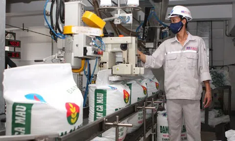 Đạm Cà Mau lãi kỷ lục, trả 99% nợ ngân hàng