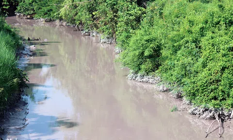 Đồng Nai: Công ty Tài nguyên xanh Toàn Cầu bị đình chỉ do gây ô nhiễm nước