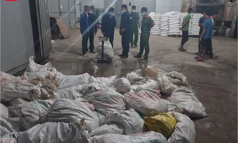 Phát hiện hơn 7 tấn lòng lợn bốc mùi hôi thối tại Công ty TNHH Đông Loan