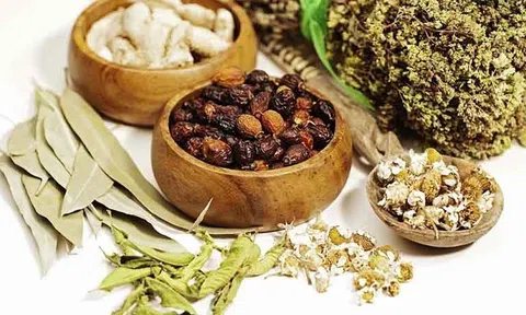 Thu hồi giấy phép hoạt động đối với Phòng khám chuyên khoa Y học cổ truyền thuộc Công ty TNHH Đông Y Việt Nam