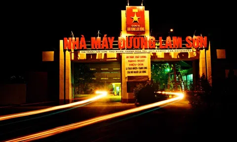 Xử phạt 100 triệu đồng Công ty Cổ phần Mía đường Lam Sơn