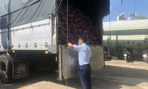 Phát hiện xe tải chở 10 tấn củ tỏi tươi do Trung Quốc sản xuất không có nhãn phụ bằng tiếng Việt Nam