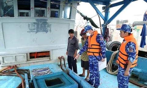 Bắt giữ tàu vận chuyển khoảng 30.000 lít dầu DO trái phép