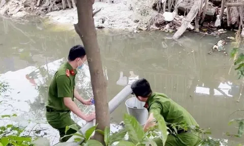 Công ty TNHH Thương mại Trung Anh HD bị xử phạt trên 300 triệu đồng