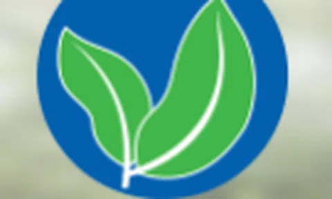 Chậm công bố thông tin, Công ty CP Dược liệu Việt Nam bị xử phạt Việt Nam bị xử phạt 60 triệu đồng