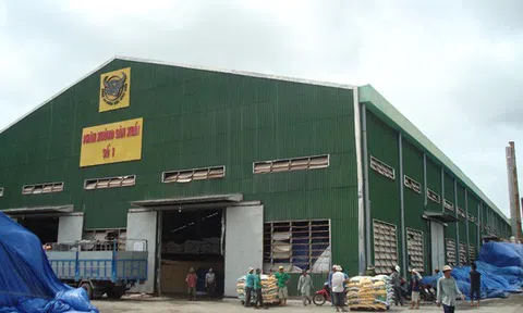 Phân bón Bình Điền: 6 tháng đầu năm lợi nhuận giảm mạnh so với năm trước