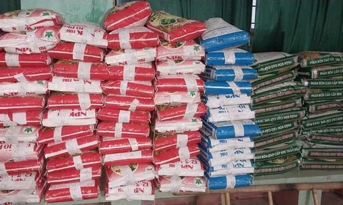 Công ty CP Đầu tư và Thương mại Bắc Bình sản xuất phân bón giả mạo