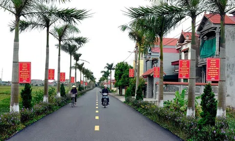 Phát triển kinh tế, xây dựng nông thôn mới khu vực Đồng bằng sông Hồng và Trung du Bắc Bộ đạt kết quả tích cực