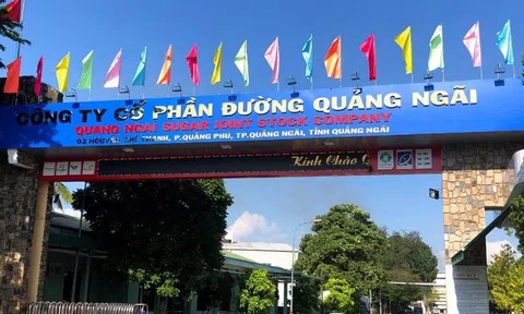 Đường Quảng Ngãi (QNS) lãi lớn, doanh thu từ đường tăng hơn 2,6 lần cùng kỳ nhưng sữa đậu nành mới là trụ cột lợi nhuận