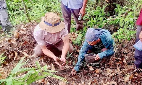 Quảng Ninh: Ứng dụng khoa học công nghệ, chuyển đổi số trong sản xuất, kinh doanh