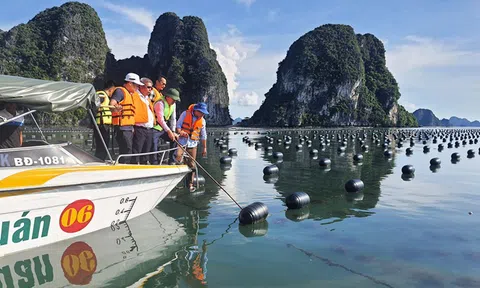 Quảng Ninh: Phát triển ngành nông nghiệp, lấy thủy sản làm trọng tâm