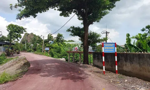 Hải Phòng đầu tư hơn 356 tỷ đồng xây dựng nâng cấp đê điều