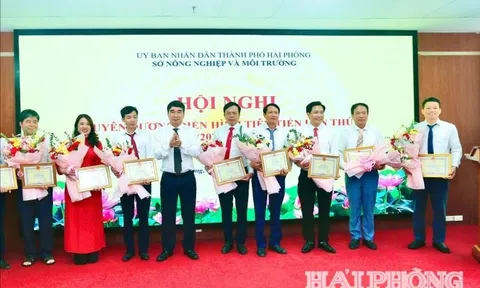 Hải Phòng: Tuyên dương nhiều tập thể, cá nhân điển hình tiên tiến tiêu biểu ngành NN&MT