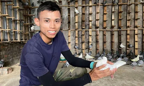 Những cánh chim "hòa bình” từ Nam ra Bắc mừng ngày Quốc khánh