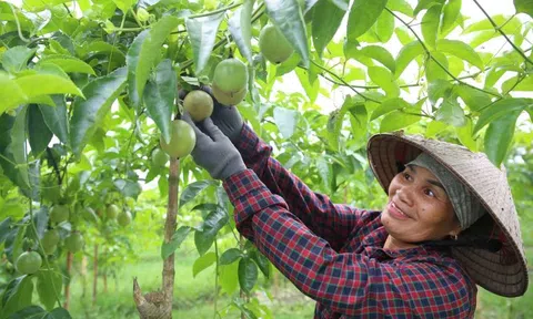 Điểm sáng trong xây dựng nông thôn mới ở Quảng Ninh