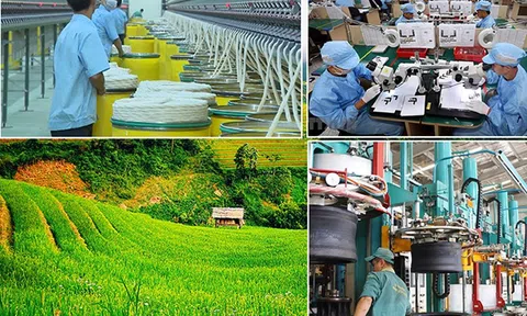 Chính phủ đưa ra 6 nhiệm vụ, giải pháp phát triển ngành công nghiệp môi trường