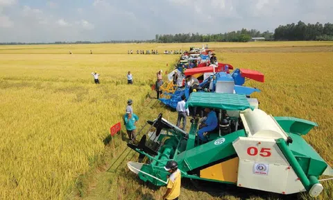 Quảng Ninh: Đẩy mạnh cơ giới hóa trong sản xuất nông nghiệp