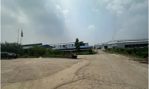 Phạt nặng một HTX sản xuất giấy vì không có giấy phép môi trường