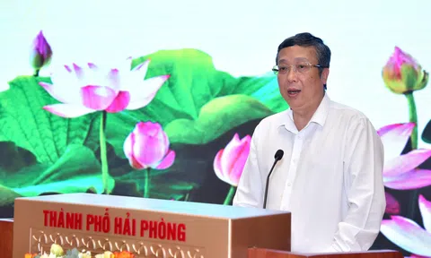 Sơ kết sản xuất trồng trọt năm 2025 tại các tỉnh phía Bắc