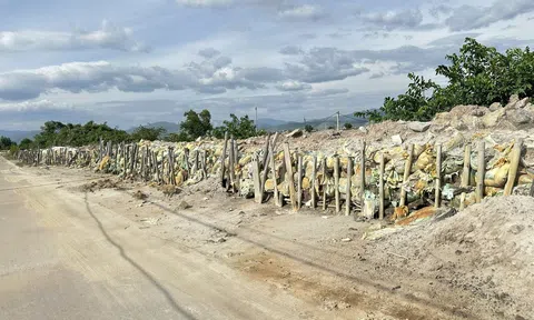 Quảng Ninh: Khẩn trương sửa chữa, duy tu đê điều